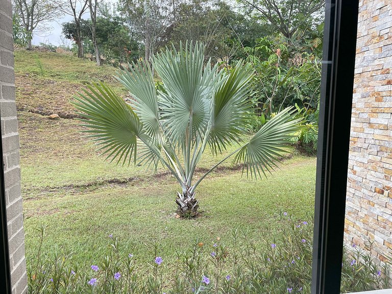 Finca Los Polines en Tarso