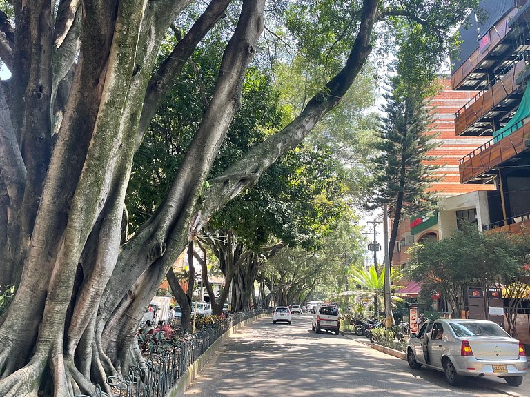 Suite 1 no Laureles Chill Lofts